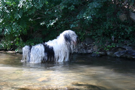 Virus dans l'eau