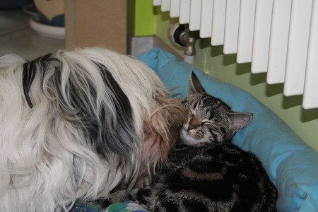Gros bisous