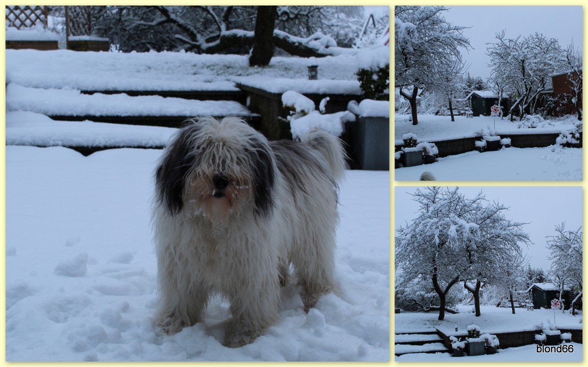 Opka