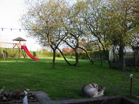 Vue générale